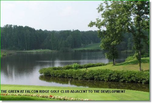 W. Tennessee Wooded Land for Sale : Cedar Grove : Carroll County : Tennessee