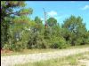 Florida Residential Lot .49 Acres : Lehigh Acres : Lee County : Florida