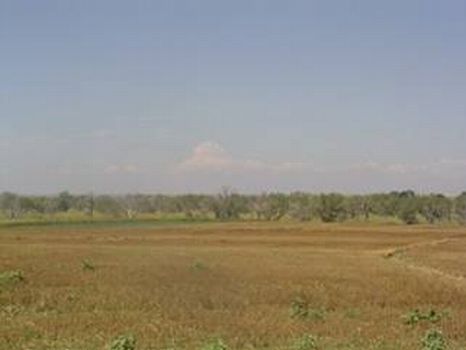 Development potential L1276 : Wiggins : Morgan County : Colorado
