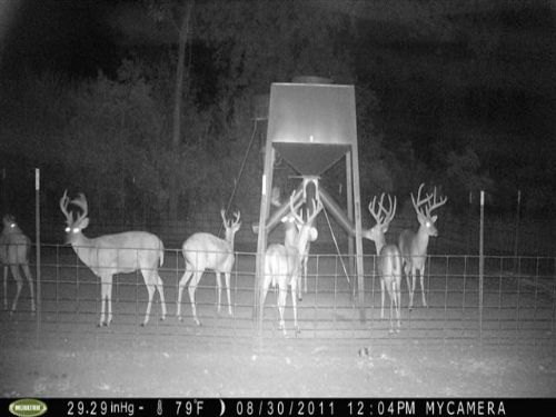 Boggy Bottom Ranch : Caney : Atoka County : Oklahoma