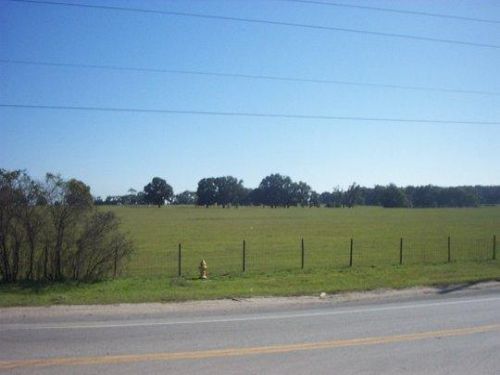 Bellehaven - 225 Acres : Belleview : Marion County : Florida