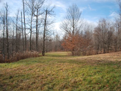 Lot 19, The Woods At Duck Harbor : Equinunk : Wayne County : Pennsylvania
