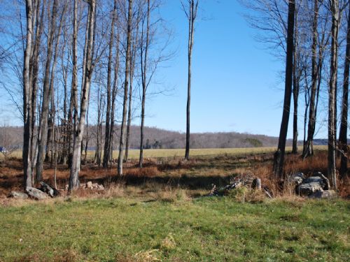 Lot 2, The Paddocks At Duck Harbor : Equinunk : Wayne County : Pennsylvania