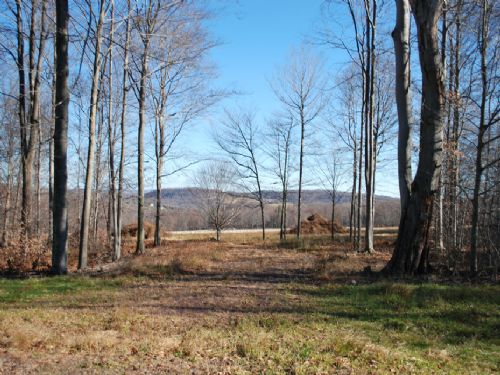 Lot 6, The Paddocks At Duck Harbor : Equinunk : Wayne County : Pennsylvania