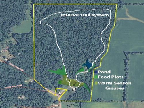 +/- 76 Acres : Rockville : Parke County : Indiana