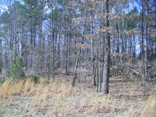 5 Acres, Owner Financing, $300 Down : Nunnelly : Hickman County : Tennessee