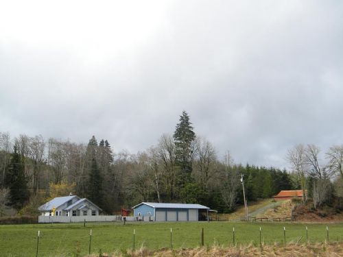 30 Acres with Home, Barn and Shop : Montesano : Grays Harbor County : Washington
