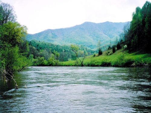 New River Access Only $19,900 : Jefferson : Ashe County : North Carolina