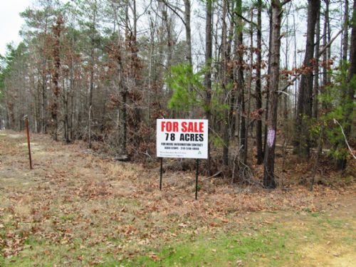 Amazing Lake Erling Waterfront : Taylor : Arkansas County : Arkansas