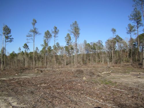 Wood Junction 0279 : Eros : Jackson Parish : Louisiana