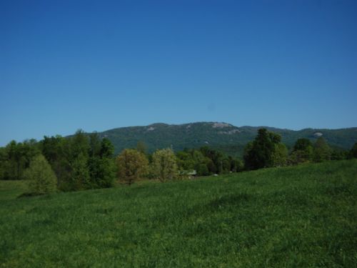 59 Acre Farm with Mountain Views : Landrum : Spartanburg County : South Carolina