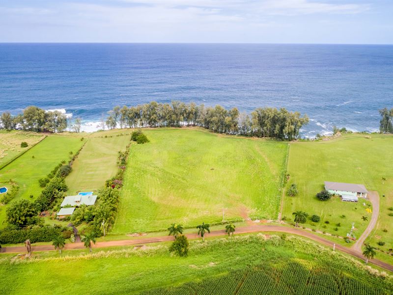 Ocean Front $650,000 : Hilo : Hawaii County : Hawaii
