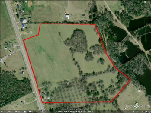 46 Acres for Sale : Hawkinsville : Houston County : Georgia