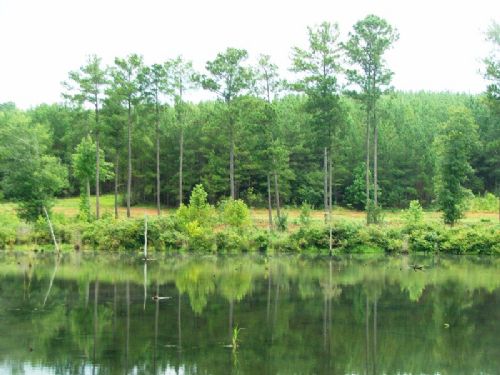 Camp Grist Tract- 280 Acres : Selma : Dallas County : Alabama
