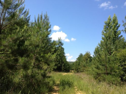 Buck Creek Tract : Autaugaville : Autauga County : Alabama