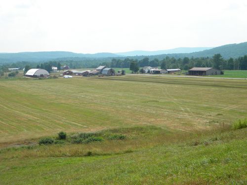 617 Acres Operating Dairy Farm Land : Edmeston : Otsego County : New York