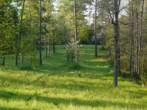 137 Ac On Lovic Davis Rd. : Lagrange : Troup County : Georgia