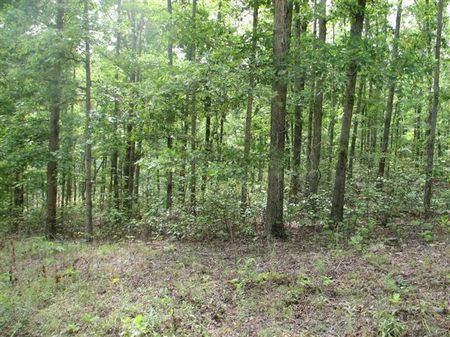 Lot 19 Block 40 Hidden Valley Lake : Nunnelly : Hickman County : Tennessee