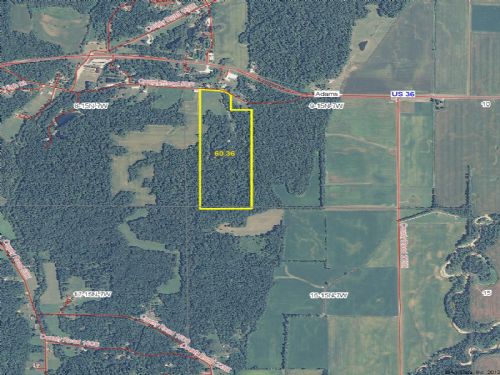 +/- 60 Acres : Rockville : Parke County : Indiana