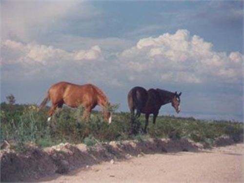 20 Acres Only $99/per Month : Sierra Blanca : Hudspeth County : Texas