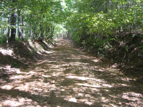 Remote Hunting Tract : Forsyth : Monroe County : Georgia