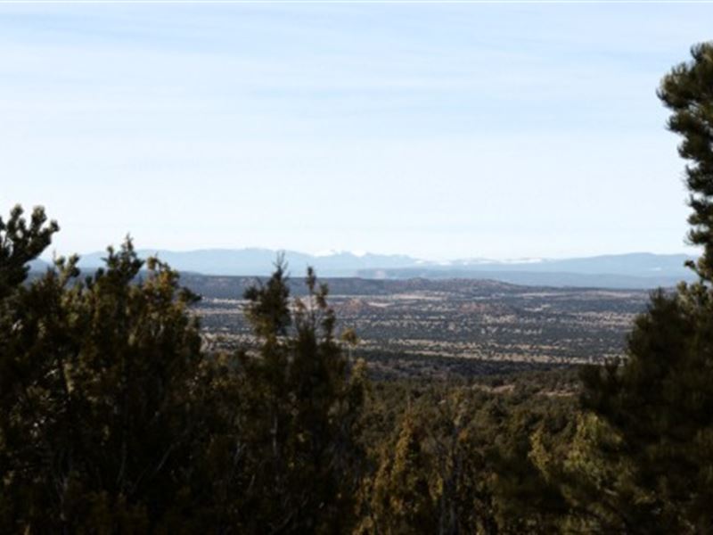 All Weather Roads, Electricity : Newkirk : Guadalupe County : New Mexico