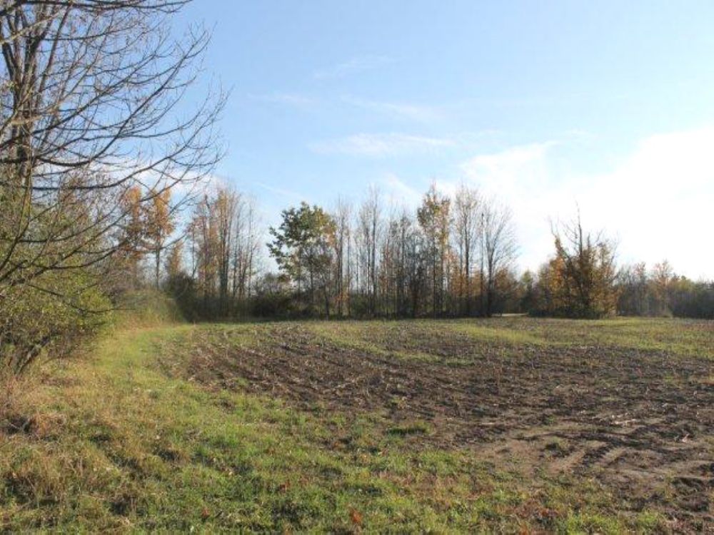 10 Acres Farmland Owner Financing : Palatine : Montgomery County : New York