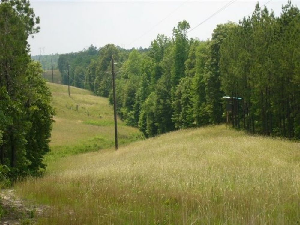 172 Acres : Junction City : Talbot County : Georgia