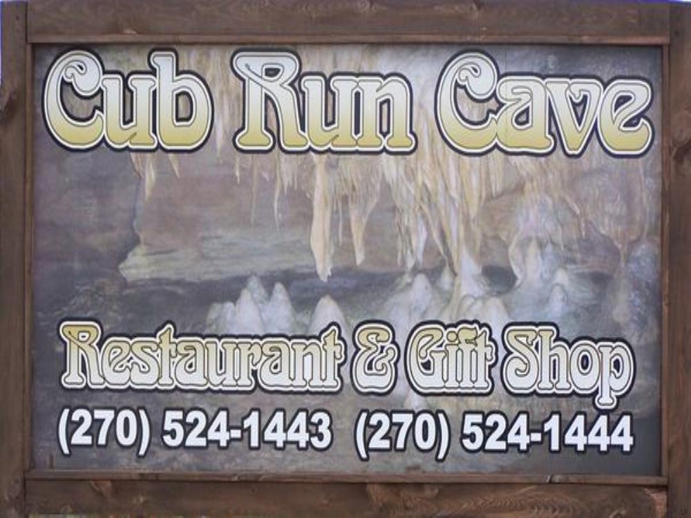 Cub Run Cave 40 : Cub Run : Hart County : Kentucky