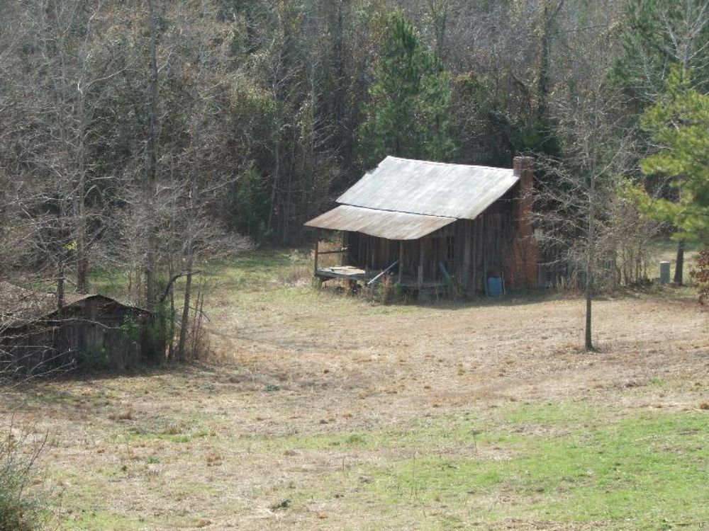 Oakes Bottom Tract : Marion : Perry County : Alabama