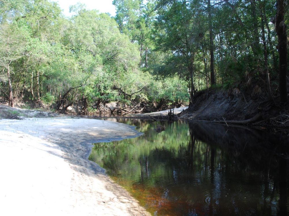 Owl Lane Tract - Satilla River 239 : Waycross : Ware County : Georgia