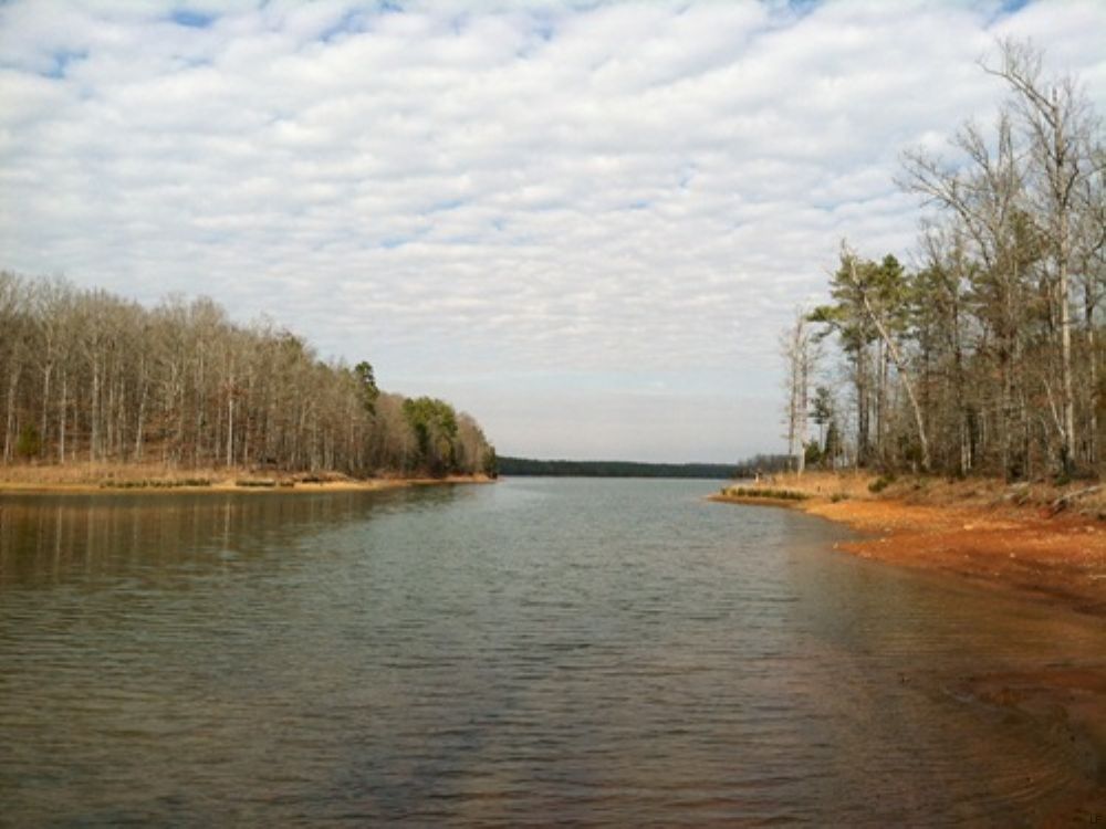 Lake Russell Waterfront Foreclosure Land for Sale in Elberton, Elbert