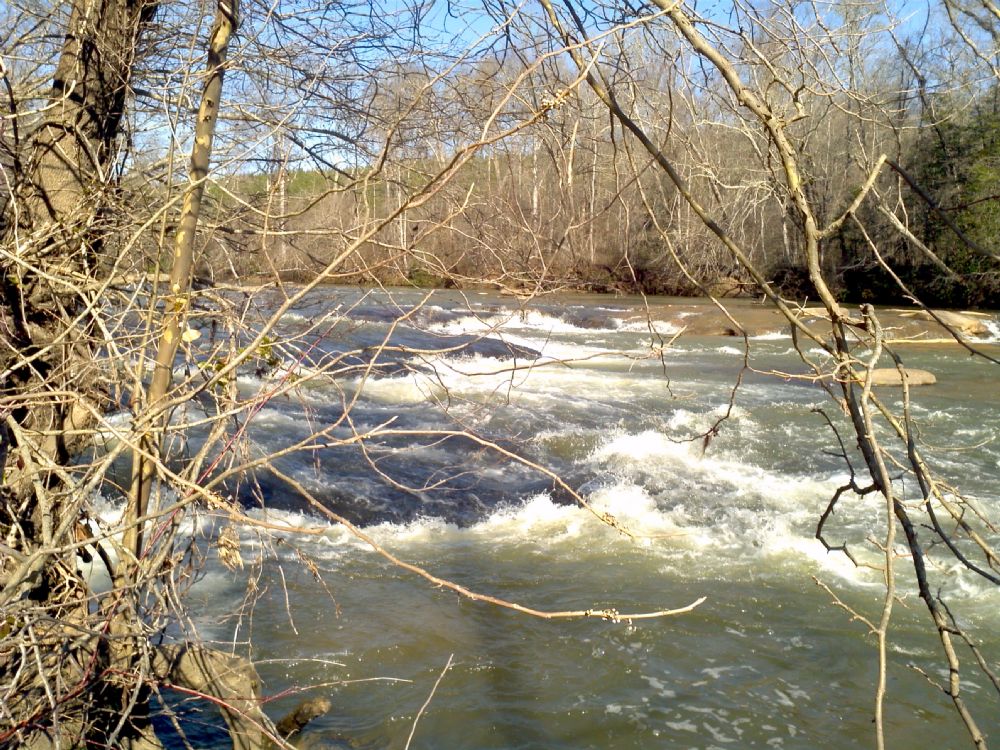 74.6 Ac W/ 2200' Along Saluda River, Land for Sale in South Carolina