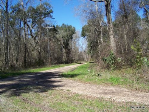 La - Iberville - Ramah Rd - Hunting : Livonia : Iberville Parish : Louisiana