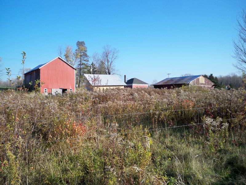 Beautiful Farm With Barns Land for Sale by Owner in Parish, Oswego