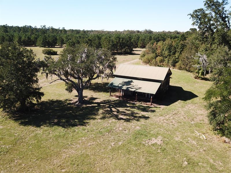 Green Creek Peru Plantation : Georgetown : Georgetown County : South Carolina
