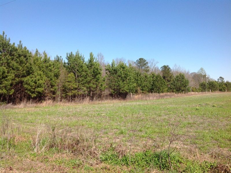 Homesite Near Lake Moultrie Land for Sale in Russellville, Berkeley
