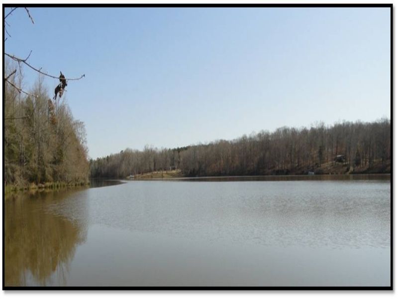 Lake Rabon Farm Land for Sale in Laurens, Laurens County, South