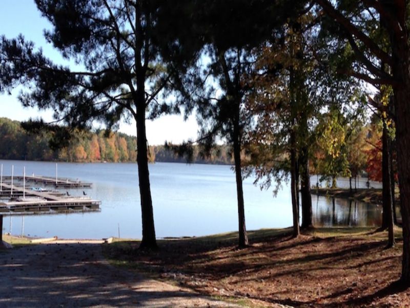 1.2 Acre Waterfront Lot 155 : Cedar Grove : Carroll County : Tennessee