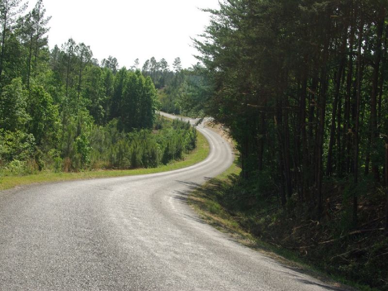 Near Birmingham - Tract 6 Of 28 : Odenville : Jefferson County : Alabama