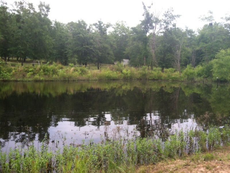 Cabin Overlooking Pond Land for Sale in Abbeville, Wilcox County