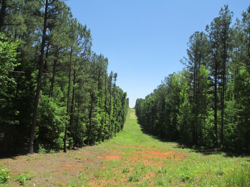 140 Acres Abercrombie Road : Culloden : Monroe County : Georgia