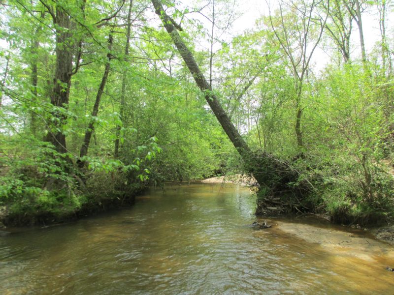 94± Acres On Tobesofkee Creek : Barnesville : Lamar County : Georgia