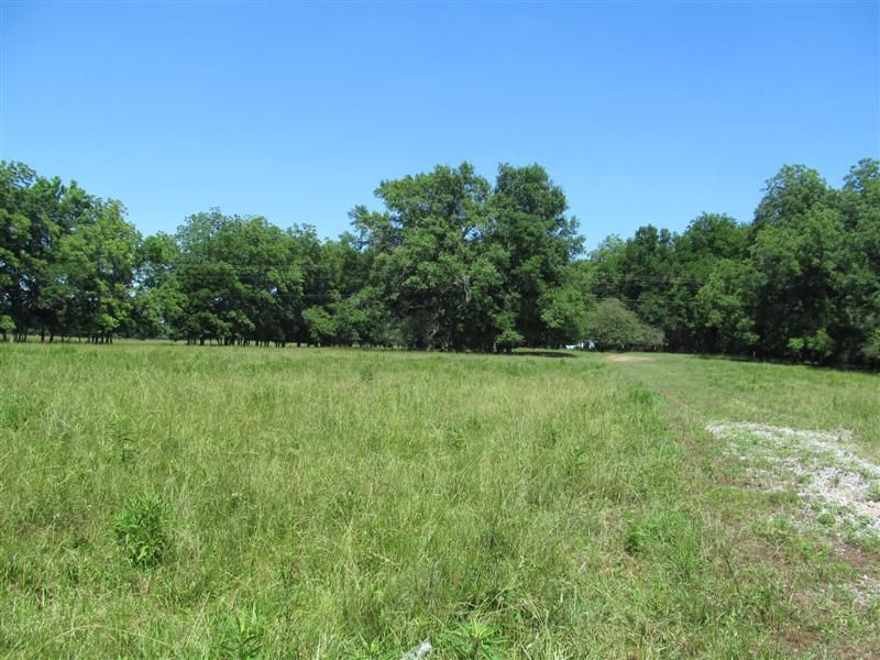 Cauthen Property : Snowdoun : Montgomery County : Alabama