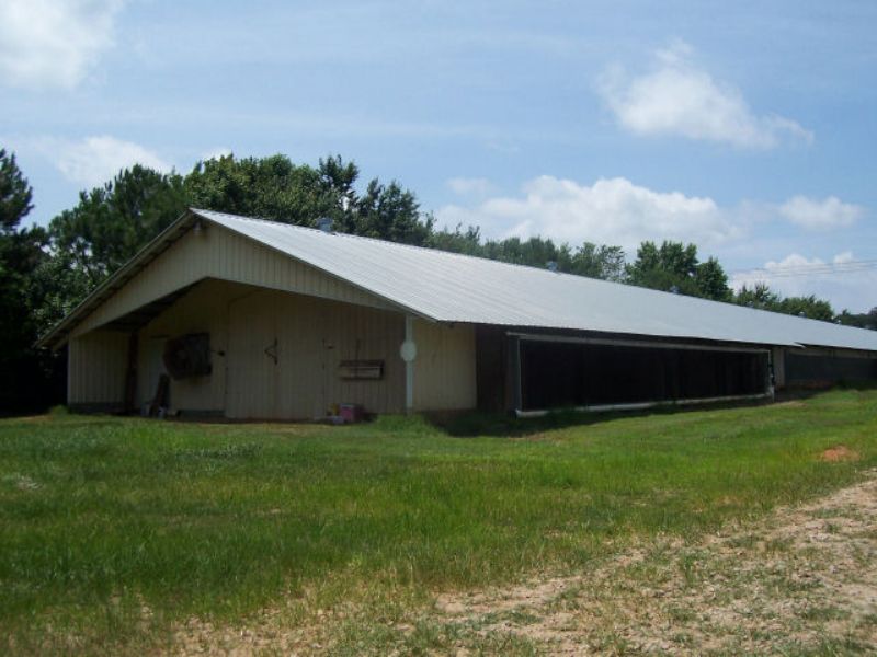 Poultry Farm broilers : Homer : Banks County : Georgia