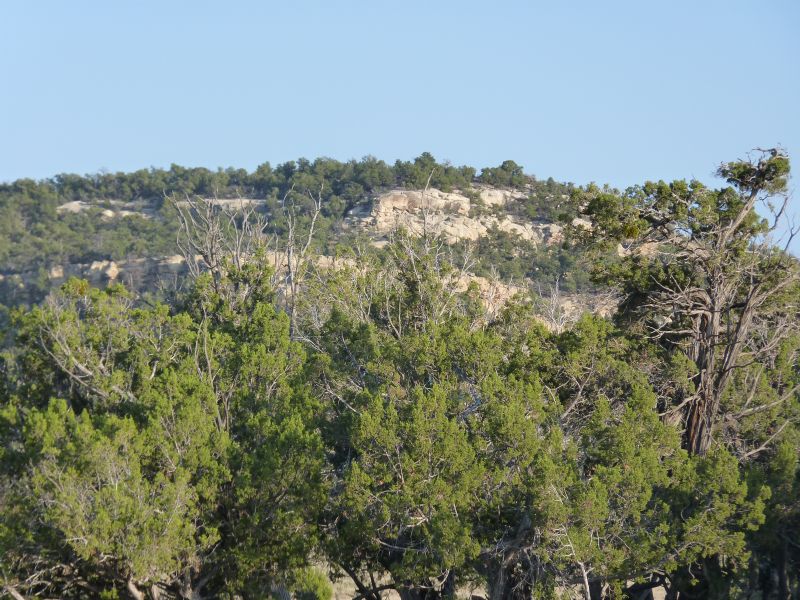 New Mexico Sportsman's Ranch : Fence Lake : Cibola County : New Mexico