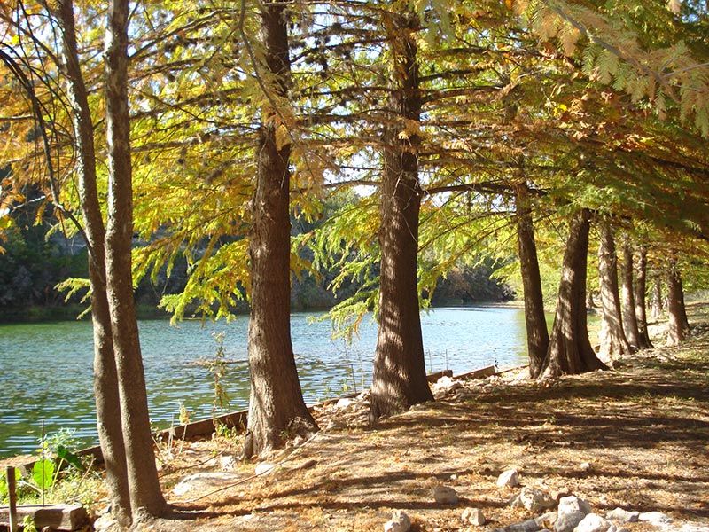 Falling Waters Ranch : Uvalde montell : Uvalde County : Texas