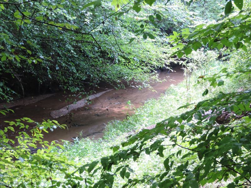 Redlands Wma Tract : Greensboro : Greene County : Georgia