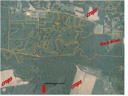 Mayfield Creek Waterfowl/deer : Whickliffe : Ballard County : Kentucky