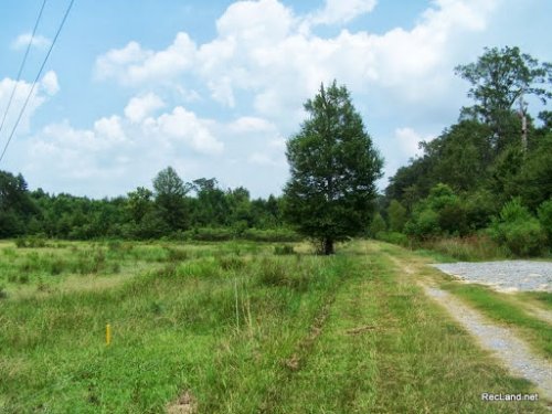 La - East Feliciana - Hwy 19 - Hunt : Slaughter : East Feliciana Parish : Louisiana